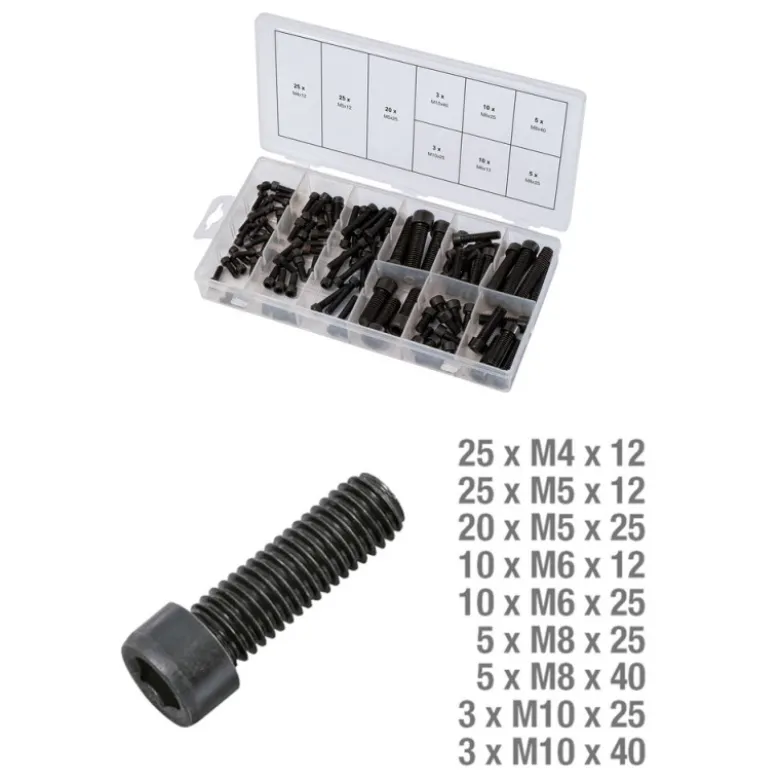 Assortiment de vis 6 pans 106 pièces KS TOOLS 970.0390