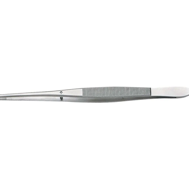Brucelle Droite Bouts Arrondis 165 Mm SAM Outillage - 365-3