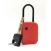 Cadenas De Condamnation SAM Outillage - CAD-60