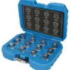 Coffret de démontage d'écrous antivols VW 12 pcs BRILLIANT TOOLS - BT691190