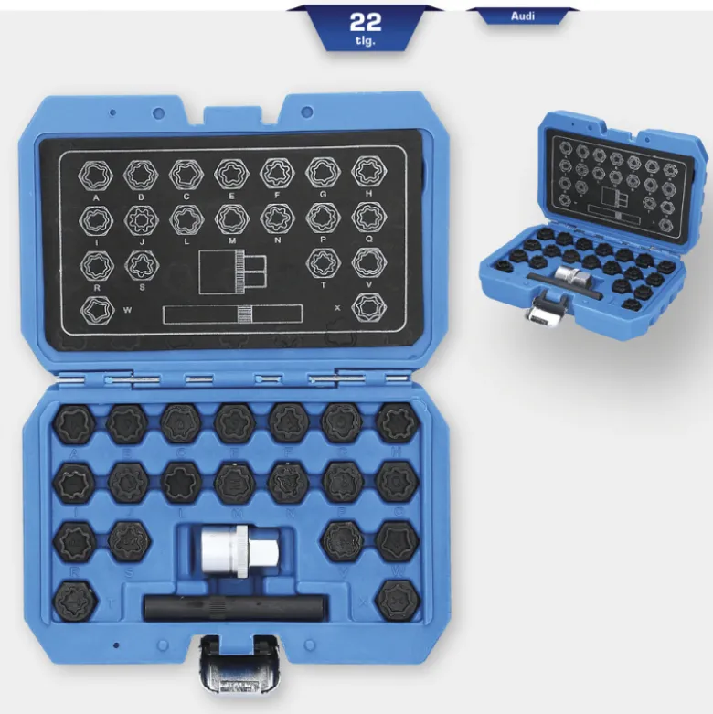 Coffret de démontage d'écrous antivols Audi 22pcs BRILLIANT TOOLS - BT691360