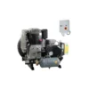 Compresseur d'air à piston sur plateau 20CV SD, 11 bar, 400V triphasé - NUAIR 104500NU