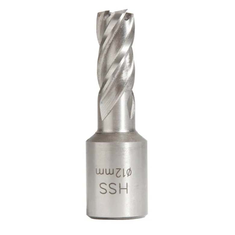 Fraise HSS D12 mm Weldon 19 SIDAMO 20598200
