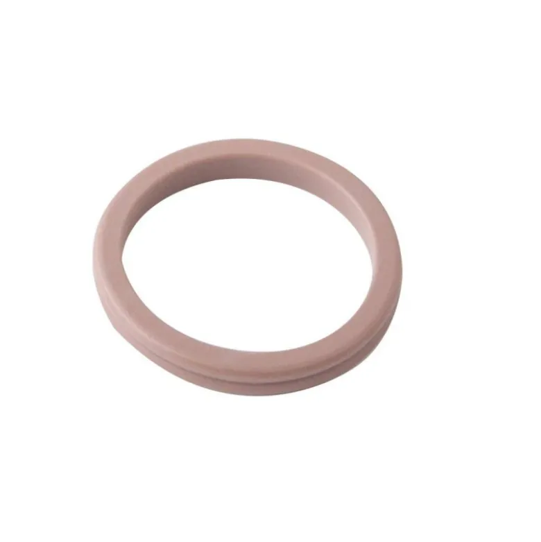 Joints double levre renault (10 pcs) CLAS CO 4022