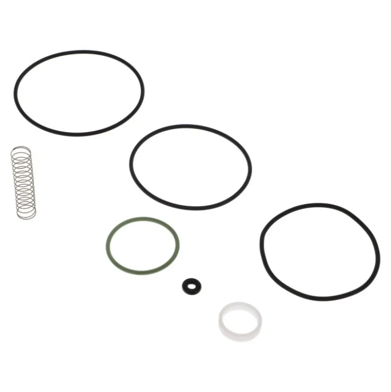 Kit clapet d’aspiration pour Spinn 5.5 - 7.5 - 11 C55 ABAC - 2200900961