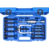 Kit d’extracteur de roulement intérieur 16pcs BRILLIANT TOOLS - BT631150