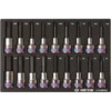Module Mousse + Pp 18 Pièces Douilles 1/2" Torx--6 Pans Mâles King Tony - 94138PRE