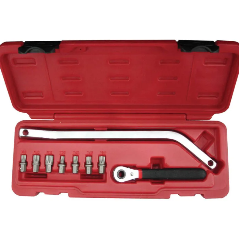 Poignee Longue Et Embouts Torx 30-40-45-50 Et Xzn 8-10-12 SAM Outillage - 99-PA20