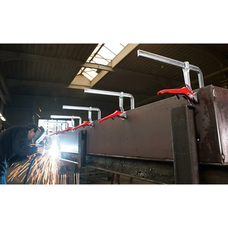 Presse à serrage rapide Ouverture 250/120 mm BESSEY GH25