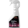 Spray brillant plastiques 500ml ECOLAVE FINI001