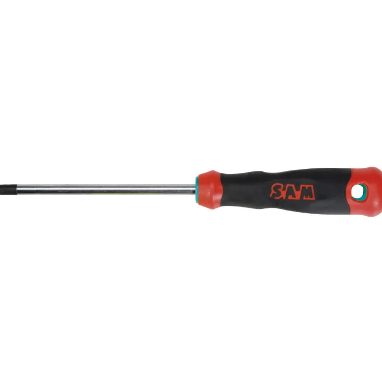 Tournevis Bi-Matiere Resistorx - Trousse De 5 SAM Outillage - T-J4