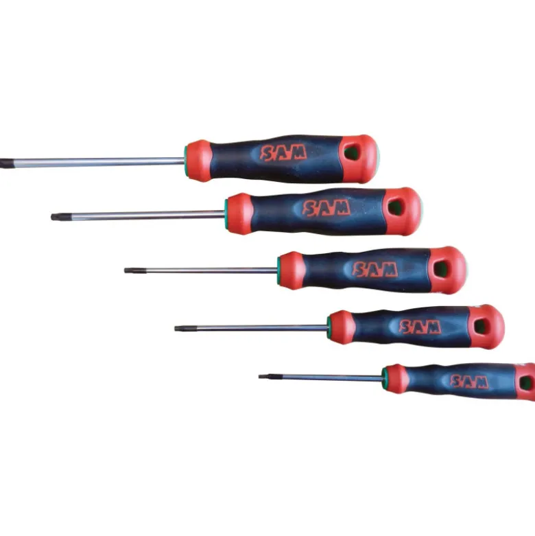 Tournevis Bi-Matiere Resistorx - Jeu De 5 SAM Outillage - T-RJ5
