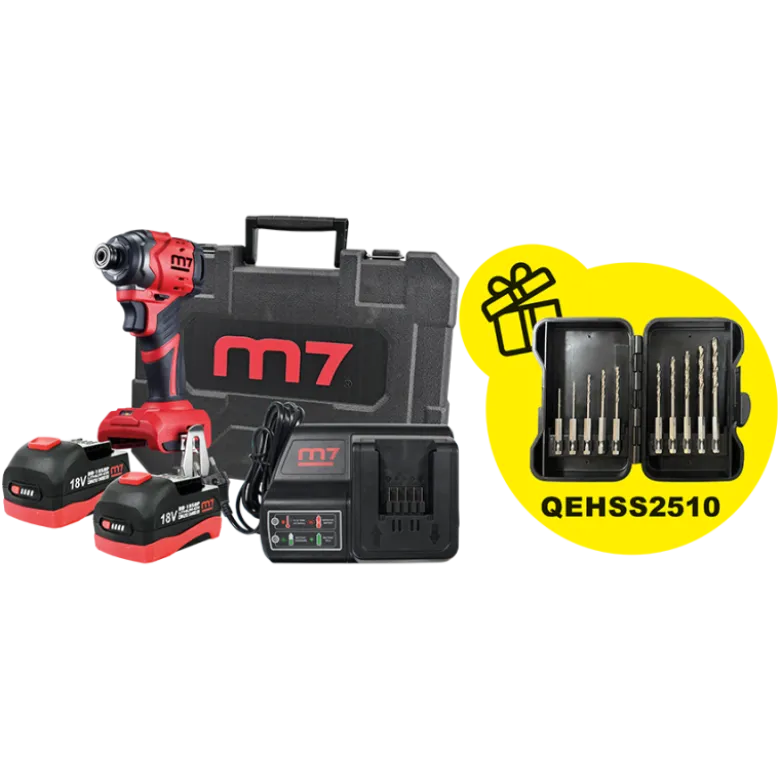 Visseuse à percussion 1/4" en Coffret + 2 Batteries 18V 5Ah + Chargeur + Coffret de forets - 10 pcs Offert M7 - DS202AP